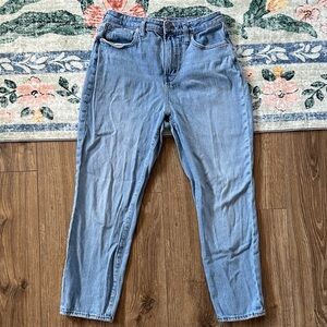 Madewell- The Curvy Perfect Vintage Jean!
